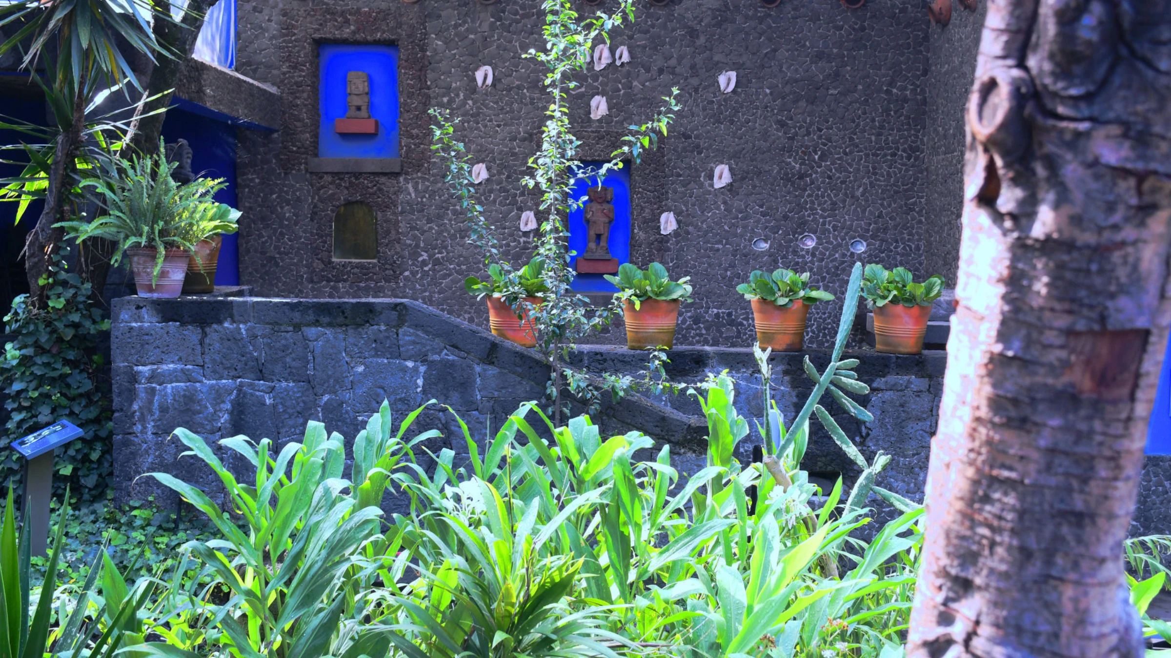 Exterior of the Frida Kahlo Museum in Coyoacan, Mexico City.