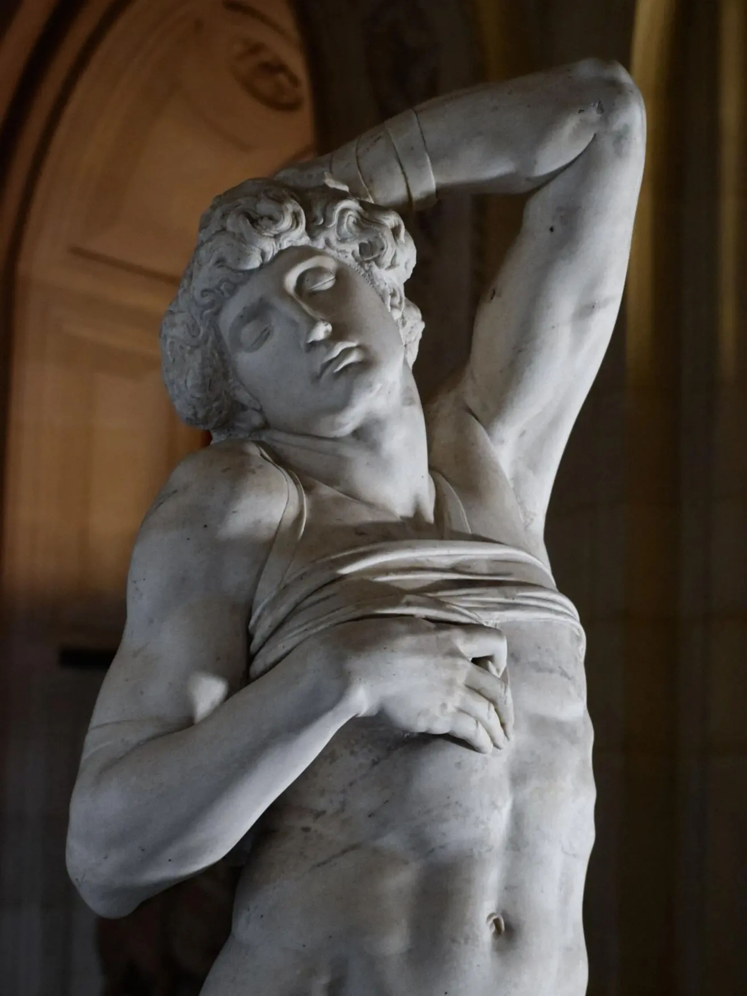 Detail view inside a major museum collection display.