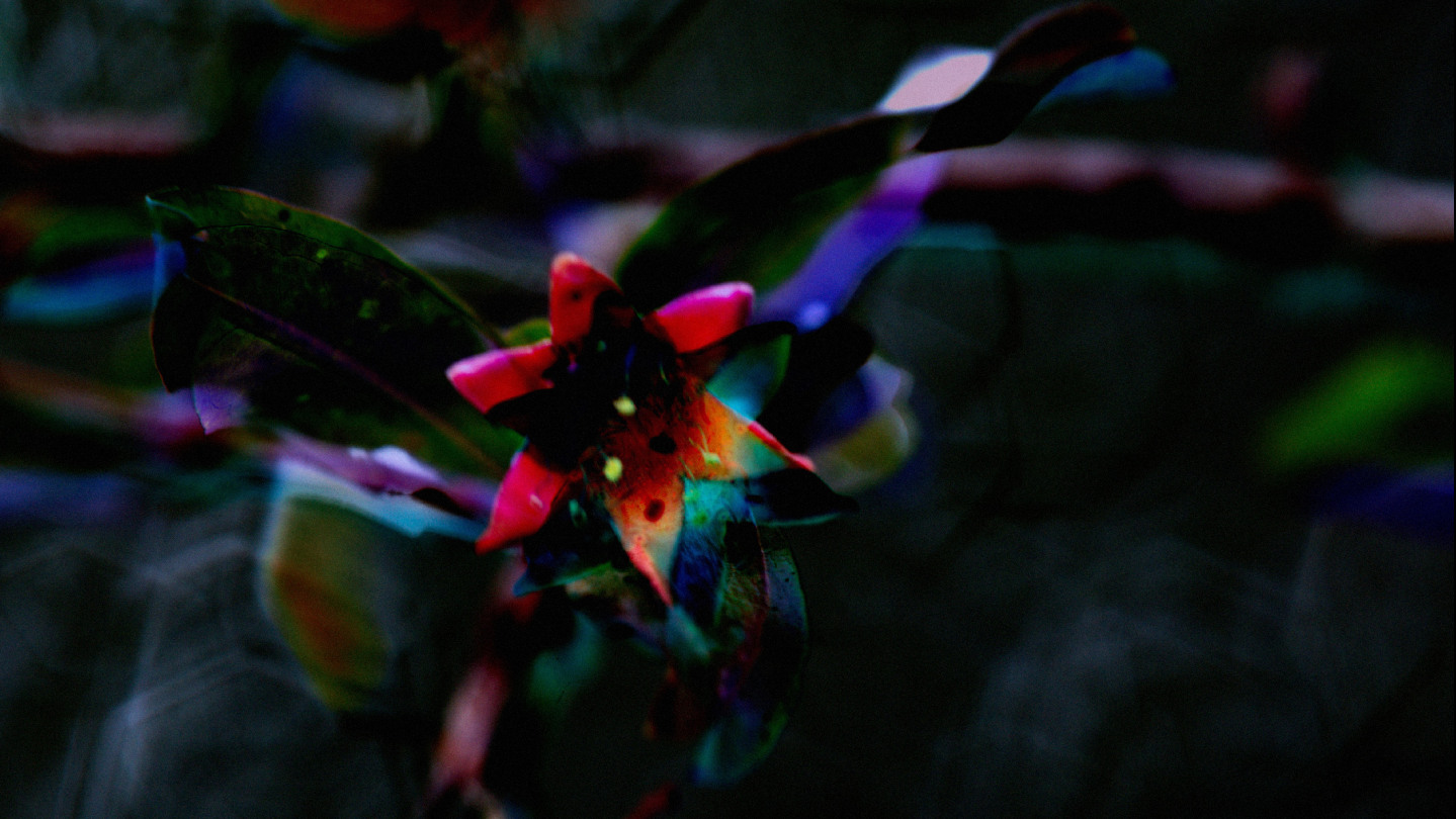 Still from Prisoners of Love: Until the Sun of Freedom by Basel Abbas and Ruanne Abou-Rahme