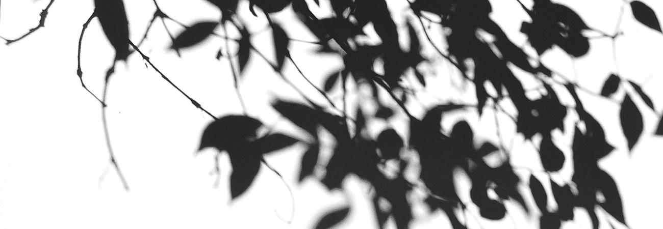 The Russian Pavilion in Venice's Giardini